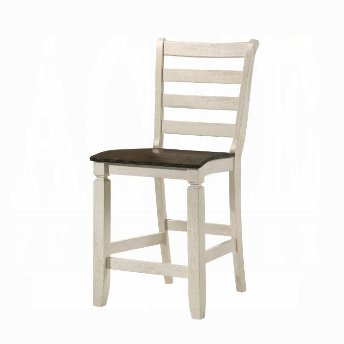 Tasnim Counter Height Chair Set-2 - Visions in Furniture (La Mirada, CA)