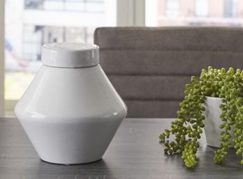 Domina Jar (Set of 2) - Visions in Furniture (La Mirada, CA)