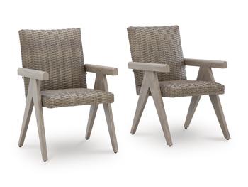 Cliff Trails Outdoor Arm Chair (Set of 2) - Visions in Furniture (La Mirada, CA)