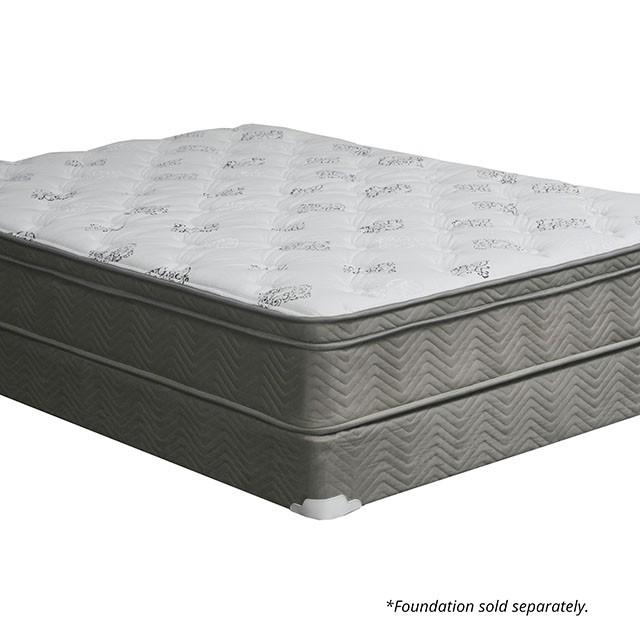 Aleksa 11 Euro Top Mattress (Non-Flip) - Visions in Furniture (La Mirada, CA)