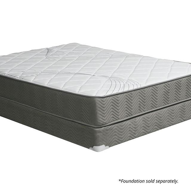 EDREA White/Gray 10" Tight Top Pocket Coil, Queen - Visions in Furniture (La Mirada, CA)