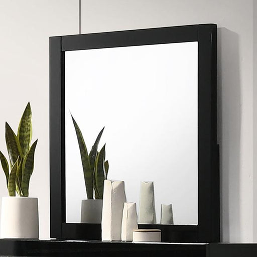 MAGDEBURG Mirror, Black - Visions in Furniture (La Mirada, CA)