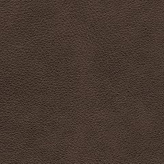 Crossplex Power Reclining Sofa - Visions in Furniture (La Mirada, CA)