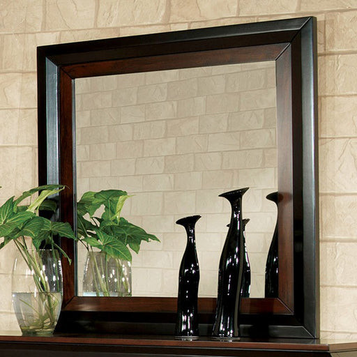 Patra Acacia/Walnut Mirror - Visions in Furniture (La Mirada, CA)