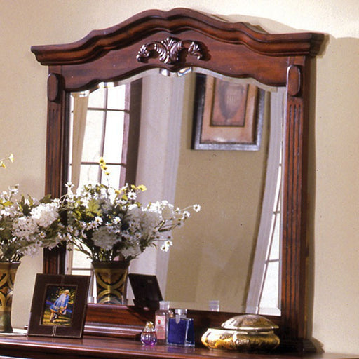 Lewisburg Mirror - Visions in Furniture (La Mirada, CA)