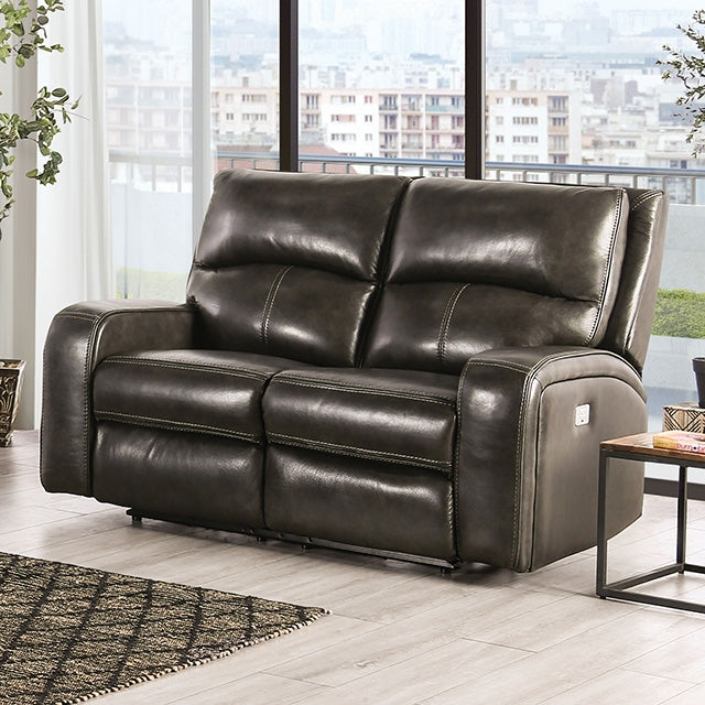 Soterios Power Loveseat - Visions in Furniture (La Mirada, CA)
