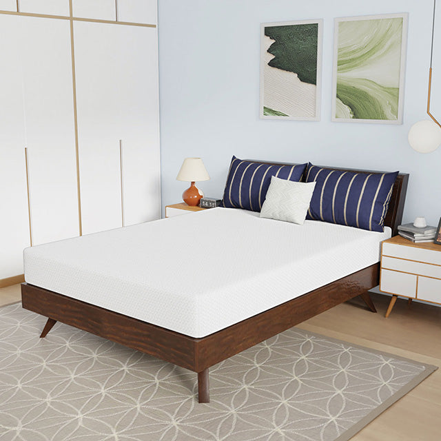 Nasturtium 8" Full Bamboo Charcoal Infused Memory Foam - Visions in Furniture (La Mirada, CA)