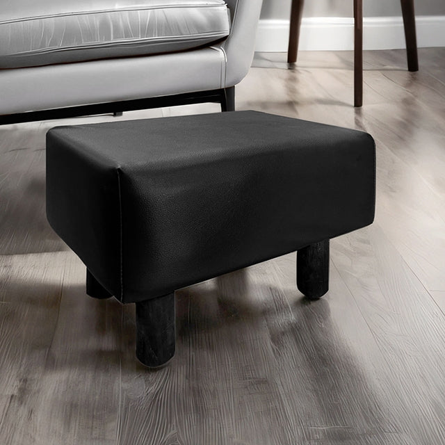 Vale Footstool (2/CTN) - Visions in Furniture (La Mirada, CA)