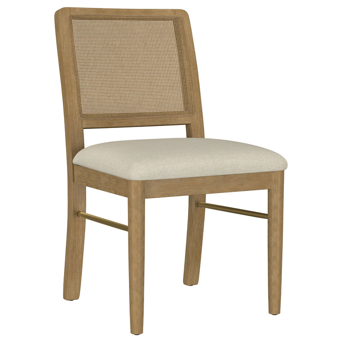 Arini Side Chairs - Visions in Furniture (La Mirada, CA)