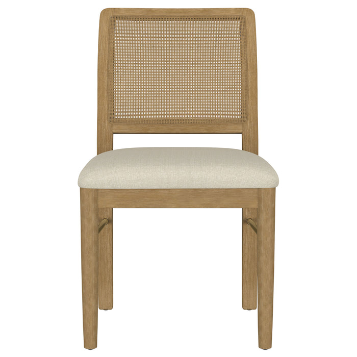 Arini Side Chairs - Visions in Furniture (La Mirada, CA)