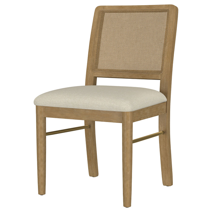 Arini Side Chairs - Visions in Furniture (La Mirada, CA)