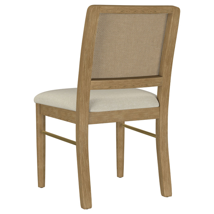 Arini Side Chairs - Visions in Furniture (La Mirada, CA)