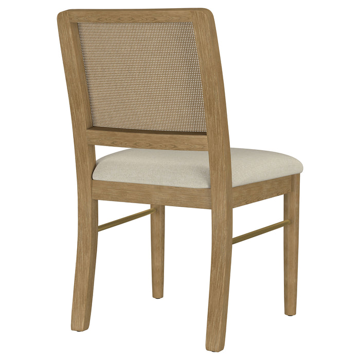 Arini Side Chairs - Visions in Furniture (La Mirada, CA)
