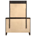 Carlton Dresser With Mirror - Visions in Furniture (La Mirada, CA)