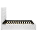 Felicity Beds - Visions in Furniture (La Mirada, CA)