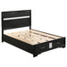 Miranda Full & Twin Storage Bed Black - Visions in Furniture (La Mirada, CA)
