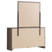 Brantford Dresser With Mirror - Visions in Furniture (La Mirada, CA)