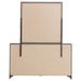 Brantford Dresser With Mirror - Visions in Furniture (La Mirada, CA)