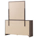 Brantford Dresser With Mirror - Visions in Furniture (La Mirada, CA)