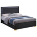 Marceline Beds White & Black Eastren King, Full, Twin, & Queen - Visions in Furniture (La Mirada, CA)