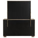 Durango Dresser With Mirror - Visions in Furniture (La Mirada, CA)