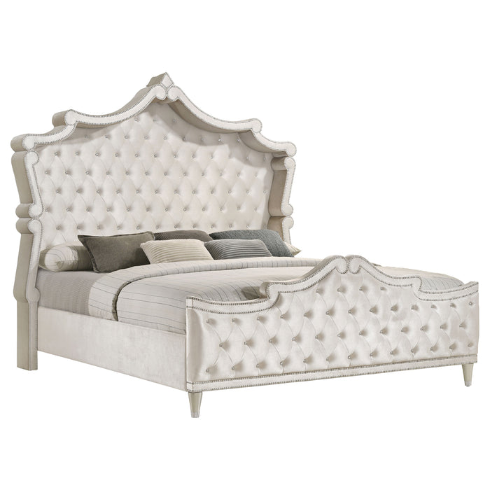 Antonella Bedroom Sets - Visions in Furniture (La Mirada, CA)