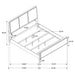 Arini Bedroom Set Beige - Visions in Furniture (La Mirada, CA)