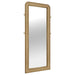 Arini Floor Mirror - Visions in Furniture (La Mirada, CA)