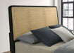 Arini Queen Bed - Visions in Furniture (La Mirada, CA)