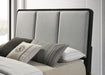 Arini Queen Bed - Visions in Furniture (La Mirada, CA)