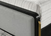 Arini Eastern King & Twin Bed - Visions in Furniture (La Mirada, CA)