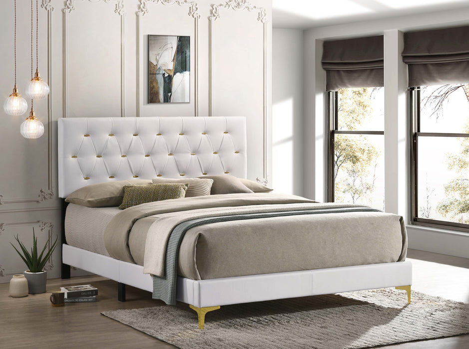 Kendall Panel Bed E.King, & Queen Black & White - Visions in Furniture (La Mirada, CA)