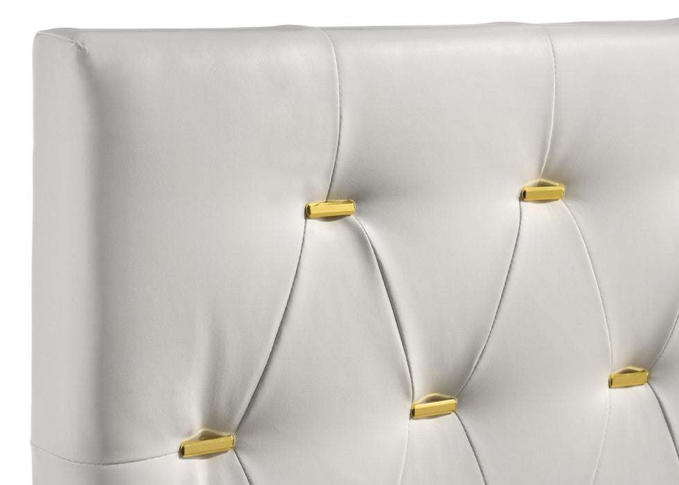 Kendall Panel Bed E.King, & Queen Black & White - Visions in Furniture (La Mirada, CA)