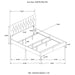 Kendall Panel Bed E.King, & Queen Black & White - Visions in Furniture (La Mirada, CA)