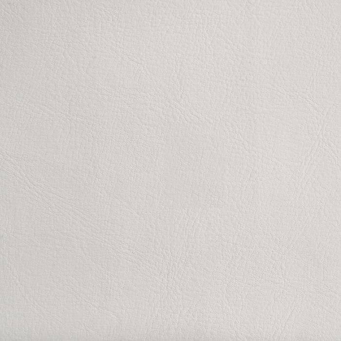 Kendall Panel Bed White - Visions in Furniture (La Mirada, CA)