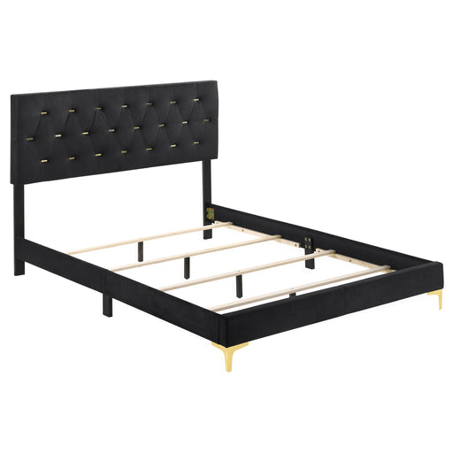Kendall Panel Bed E.King, & Queen Black & White - Visions in Furniture (La Mirada, CA)