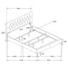 Kendall Panel Bed E.King, & Queen Black & White - Visions in Furniture (La Mirada, CA)