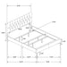 Kendall Upholstered Panel Bed - Visions in Furniture (La Mirada, CA)