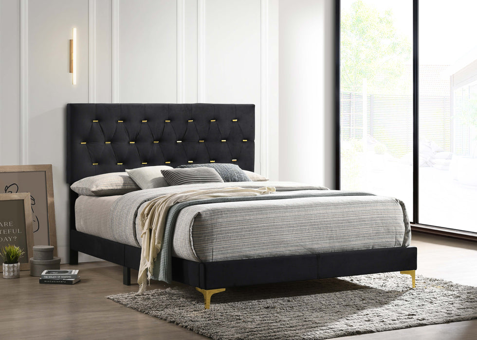 Kendall Panel Bed E.King, & Queen Black & White - Visions in Furniture (La Mirada, CA)