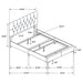 Kendall Panel Bed E.King, & Queen Black & White - Visions in Furniture (La Mirada, CA)
