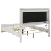 Caraway Queen Bed - Visions in Furniture (La Mirada, CA)