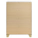 Caraway Chest - Visions in Furniture (La Mirada, CA)