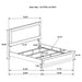 Caraway California King, E.King, & Queen Bed Black & White - Visions in Furniture (La Mirada, CA)