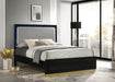 Caraway California King, E.King, & Queen Bed Black & White - Visions in Furniture (La Mirada, CA)