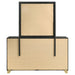 Caraway Dresser With Mirror - Visions in Furniture (La Mirada, CA)
