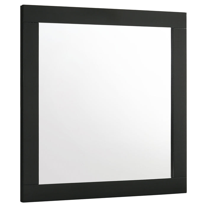 Caraway Dresser Mirror - Visions in Furniture (La Mirada, CA)