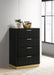 Caraway Chest - Visions in Furniture (La Mirada, CA)