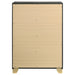 Caraway Chest - Visions in Furniture (La Mirada, CA)