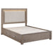 Kenora California King, E.king, & Queen Bed - Visions in Furniture (La Mirada, CA)