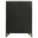 Gran Park Chest - Visions in Furniture (La Mirada, CA)